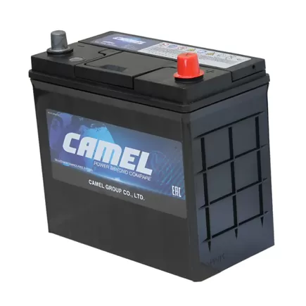 Camel Asia 60B24L 48 A/h 430 A R+ 238x128x220 mm