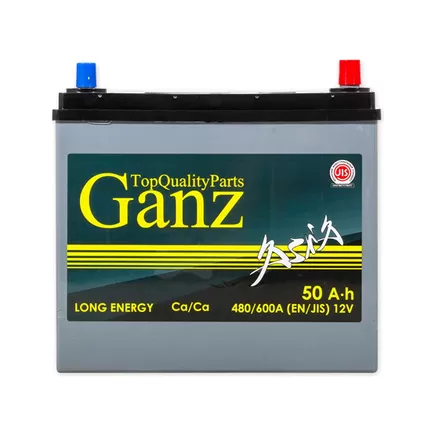 Ganz Asia 50 A/h 480 A R+ 238x128x220 mm
