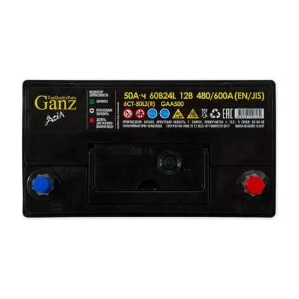 Ganz Asia 50 A/h 480 A R+ 238x128x220 mm
