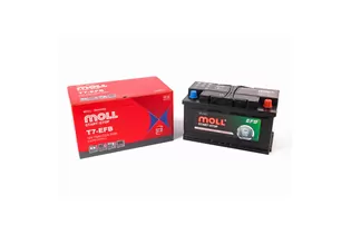 MOLL EFB 6-QTPE-75 75 A/h 700 A R+ 315x175x175 мм