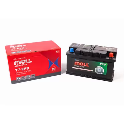 MOLL EFB 6-QTPE-75 75 A/h 700 A R+ 315x175x175 мм
