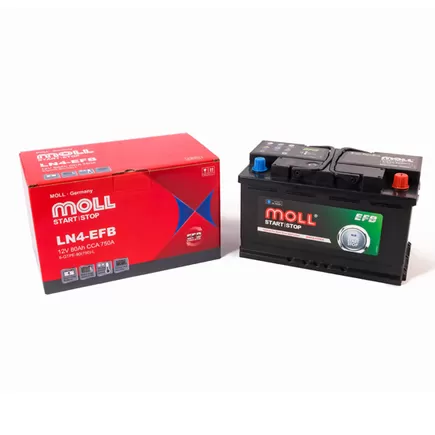 MOLL EFB 6-QTPE-80 80 A/h 750 A R+ 315x175x190 мм