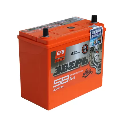 Зверь EFB Азия 6СТ-58 Евро 58 A/h 520 A R+ 237x128x204 мм