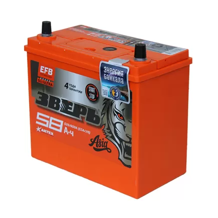 Зверь EFB Азия 6СТ-58 Евро 58 A/h 520 A R+ 237x128x204 мм