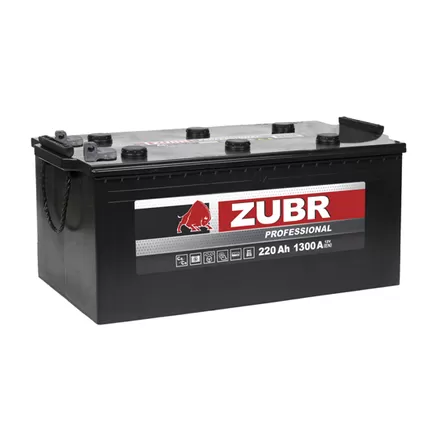 ZUBR Professional МАЗ под болт 220 A/h 1300 А R+ 513x223x220 мм