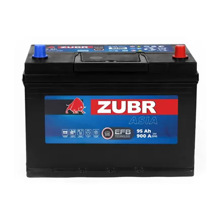 Zubr EFB Asia 95 A/h 900 A R+ 310x175x220 мм