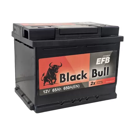 Black Bull EFB 65 A/h 650 A R+ 242x175x190 мм