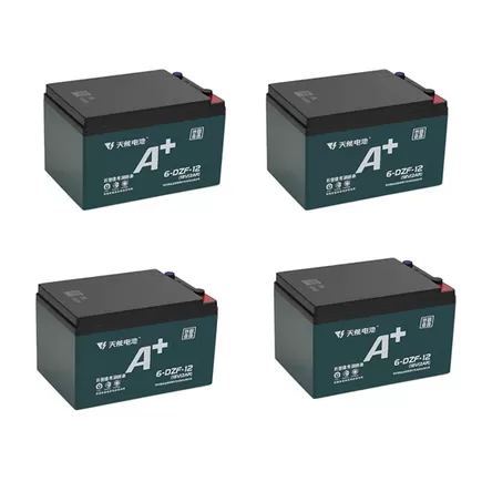 Комплект гелевых аккумуляторов Tianneng 6-DZF-12.3 (48В/12.3 А·ч)