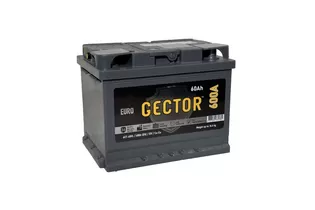 Gector 60 R 60 A/h 600 A R+ 242x175x190 мм