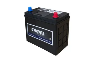 Camel EFB N55L 45 A/h 430 A R+ 237x127x200 мм