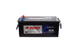 Zubr Professional EFB 190 A/h 1250 А L+ 513x217x222 мм
