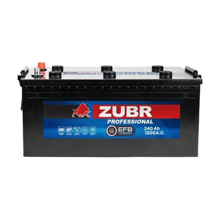 Zubr Professional EFB 240 A/h 1300 А L+ 513x261x222 мм