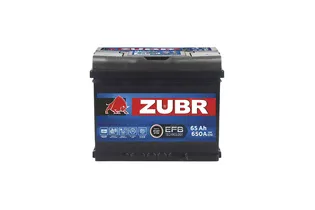 Zubr EFB 65 A/h 650 A R+ 242x175x190 мм