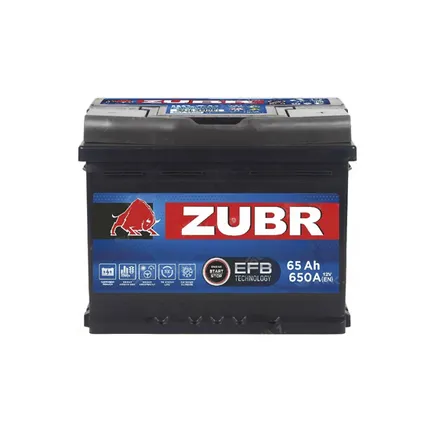 Zubr EFB 65 A/h 650 A R+ 242x175x190 мм
