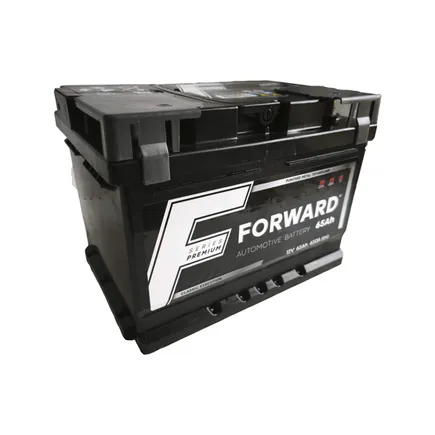 Forward Premium 65 A/h 650 А R+ 242x175x175 мм