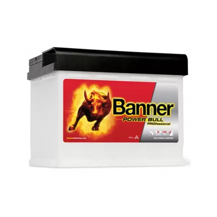 Banner Pro P63 42 63 A/h 600 А R+ 241x175x175 мм